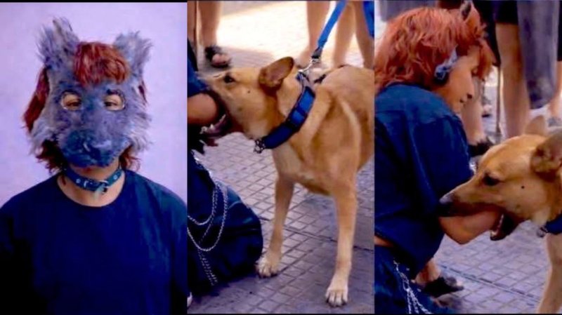 Therian es mordida por perro mientras imitaba conductas caninas